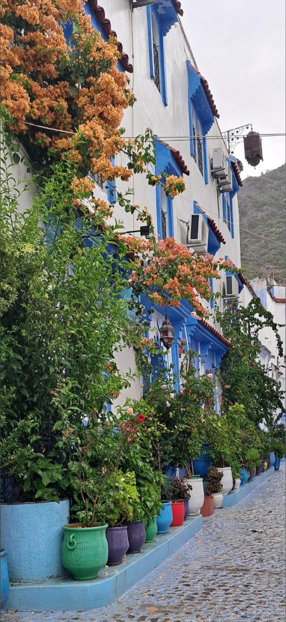 Dar Yakout Hotel Chefchaouen Buitenkant foto